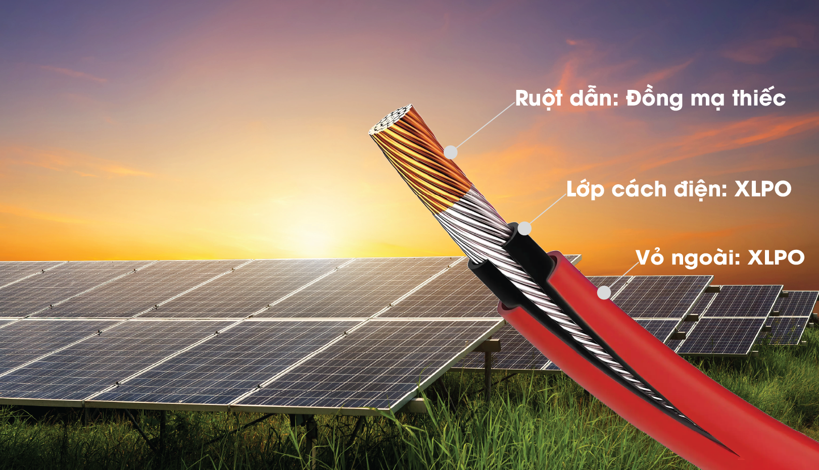 Dây cáp năng lượng mặt trời FRCABLE